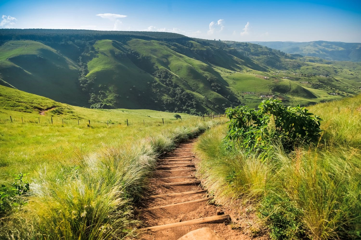 讓身體慢慢找回節奏的旅程