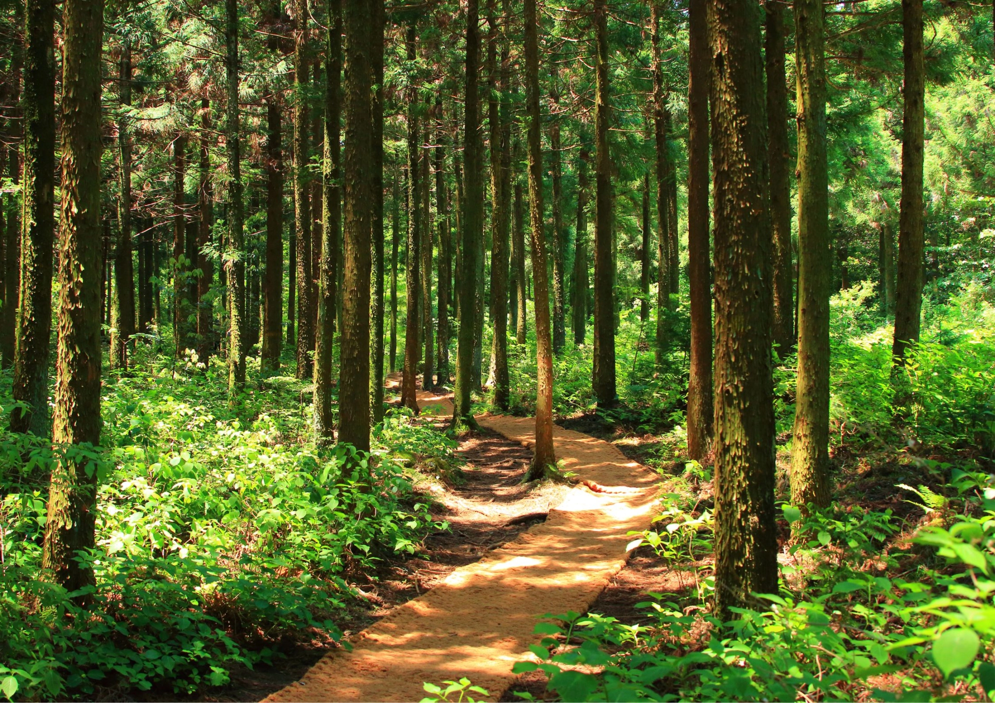 由內而外的蛻變 