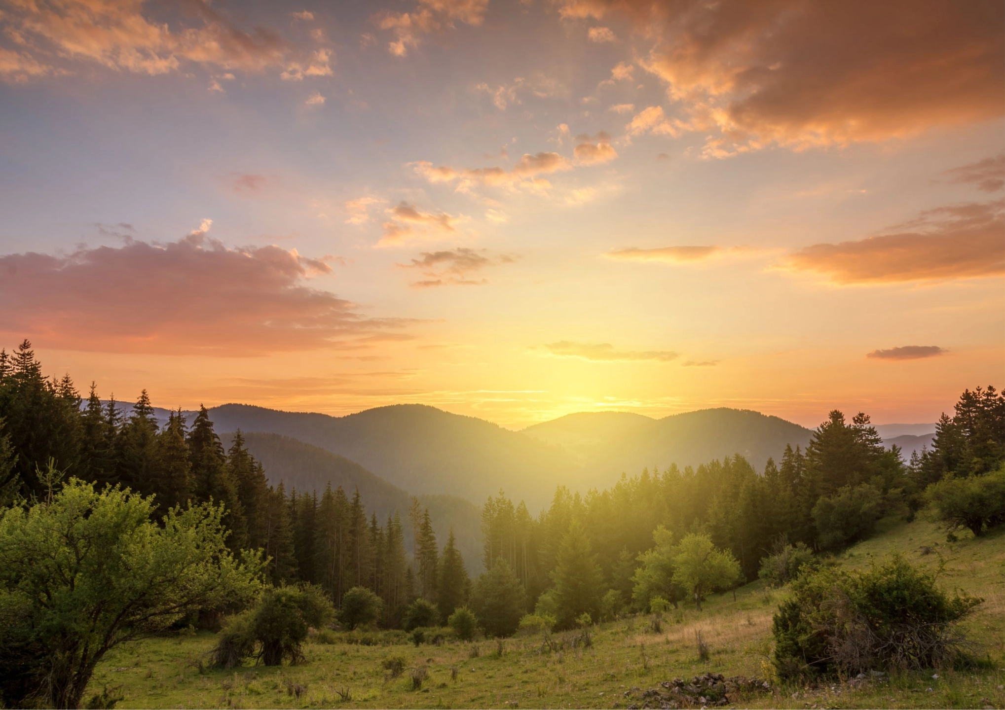 在關係裡  看見痛苦的來源