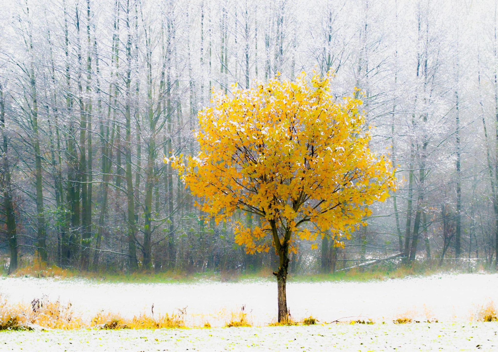 在斷捨離之前 先擁抱自己