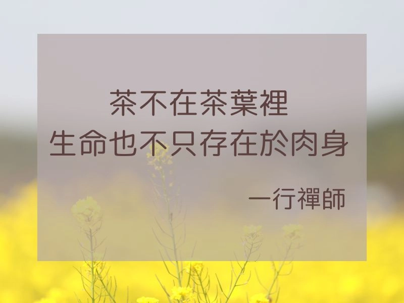 《你可以不怕死》讀書會 1