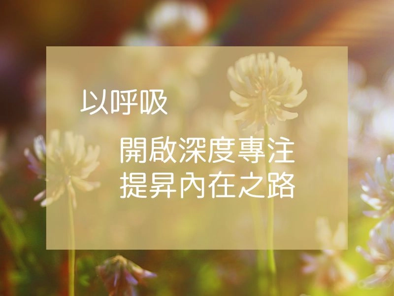 觀呼吸4+2週課 1