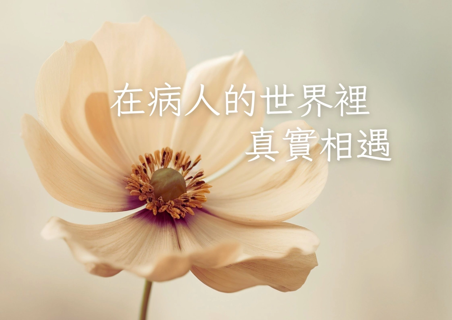 病床邊的溫柔  1